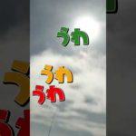 Snow Man official【初海釣り🎣in東京湾】漁場までの楽しい航路!! ~未公開~