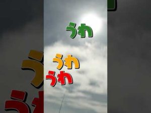 Snow Man official【初海釣り🎣in東京湾】漁場までの楽しい航路!! ~未公開~