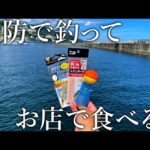 釣った魚を料理してもらえる！手ぶらでも釣りができる釣り施設のサービスが大満足すぎました