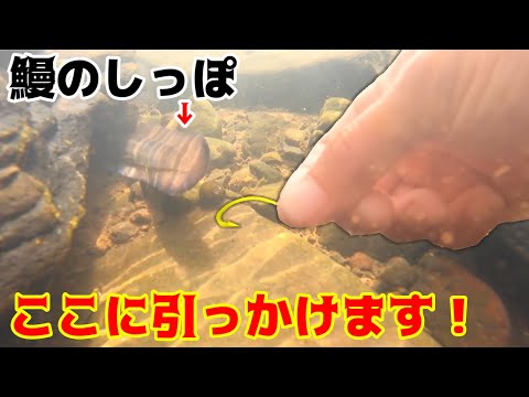 うなぎのしっぽが出てたので直接ハリで狙ってみた！