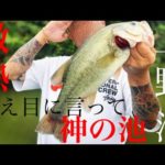 【茨城バス釣り】釣れるバス全部40アップ！上野沼が熱すぎる！【バス釣りポイント】