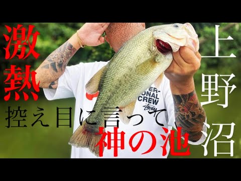 【茨城バス釣り】釣れるバス全部40アップ!上野沼が熱すぎる!【バス釣りポイント】