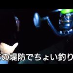 仕事終わったあと夜の堤防でちょい釣り