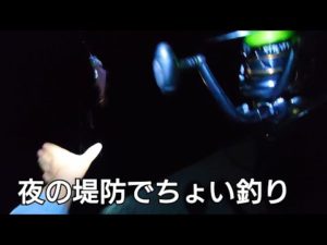 仕事終わったあと夜の堤防でちょい釣り