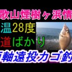 09-19　煙樹ヶ浜釣り情報・実釣編