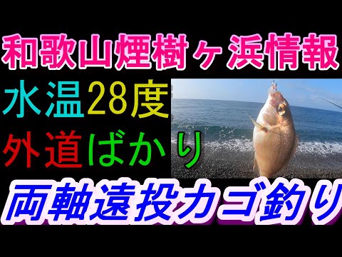 09-19　煙樹ヶ浜釣り情報・実釣編