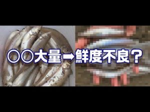 キス保存ソレダメ🙅氷に○○を大量に入れるとたった2時間でキスが衝撃の結果に!? 【魚神の釣りいかれへんわ】