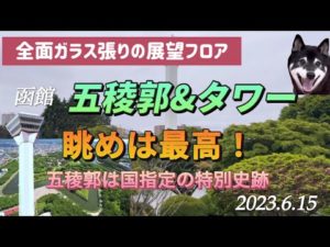 黒柴りくが行く〜北海道旅行は函館がスタートでした‼️#黒柴 #柴犬#ペット #愛犬 #犬連れ旅行 #夫婦旅 #車中泊 #道の駅 #キャンピングカー #ハイエース #バンコン #絶景 #美しい #眺望