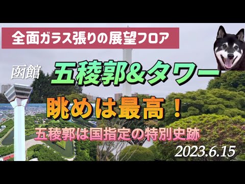 黒柴りくが行く〜北海道旅行は函館がスタートでした‼️#黒柴 #柴犬#ペット #愛犬 #犬連れ旅行 #夫婦旅 #車中泊 #道の駅 #キャンピングカー #ハイエース #バンコン #絶景 #美しい #眺望
