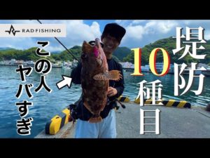 釣りプロが本気で堤防の限界を目指したら一体どれだけ釣れるのか！！！目指せ10魚種！！！RAD FISHING 高橋優介君コラボ