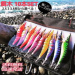 エギ 3.5号 3号 3.0号 2.5号 セット 10本 まとめ買い 餌木 エギング 光る 夜光 グロー ケイムラ 蓄光 イカ釣り エギケース ケース カラビナ付 釣り フィッシング ルアー アオリイカ 送料無料 アウトレット