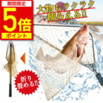 【ポイント5倍★期間限定】【楽天1位★15冠達成】ランディングネット 玉網 たも網 ラバー 渓流 大型 青物 タモ網 折りたたみ フィッシング 釣り シャフト 網 三角 伸縮 たも タモ 網 釣り具 2.1m