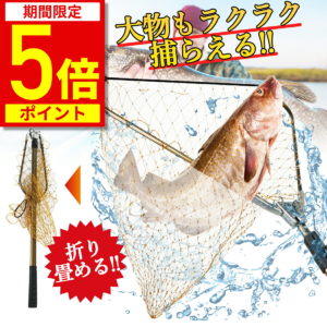 【ポイント5倍★期間限定】【楽天1位★15冠達成】ランディングネット 玉網 たも網 ラバー 渓流 大型 青物 タモ網 折りたたみ フィッシング 釣り シャフト 網 三角 伸縮 たも タモ 網 釣り具 2.1m