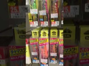 秋のアオリイカ新子釣りは、エギングの最盛期。エギの品ぞろえ紹介。#shorts