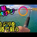 【鮭釣り】アキアジ・北海道・漁港・モジリ狙い・昨年の再現なるか：2023年9月：@user-po5ls9qm2c