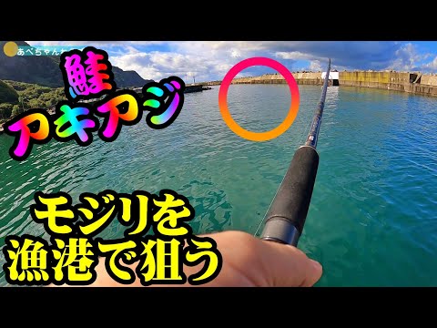 【鮭釣り】アキアジ・北海道・漁港・モジリ狙い・昨年の再現なるか:2023年9月:@user-po5ls9qm2c