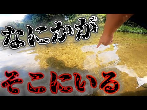 近所の用水路でガサガサすると砂の中で何かが・・・