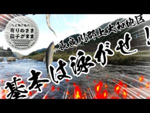2023/8/20 【鮎釣り】大増水後の引き水。崩れ堰堤上流を釣る！