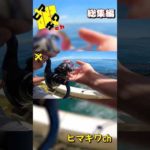 #HIT集 #釣り #ヒマキワ #ショート #明石 #釣堀 #三重  #short #shorts 総集編 82