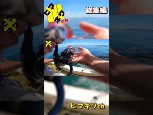 #HIT集 #釣り #ヒマキワ #ショート #明石 #釣堀 #三重  #short #shorts 総集編 82