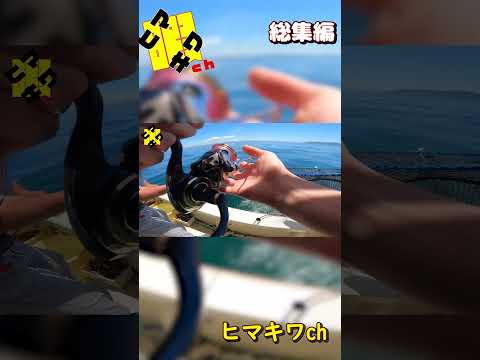 #HIT集 #釣り #ヒマキワ #ショート #明石 #釣堀 #三重  #short #shorts 総集編 82