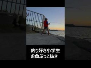 釣り好き小学生でも釣れるルアーでタチウオ #shorts  #釣り