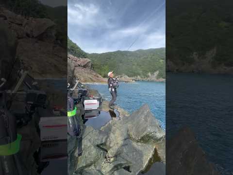 魚釣れすぎて折れた竿で釣りした。 #fishing #釣り #磯釣り