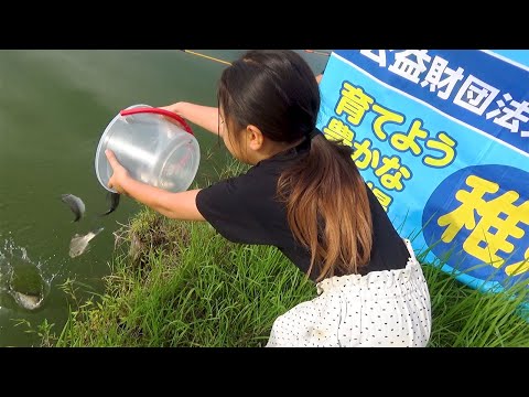 【家族釣りの祭典】およそ1000匹のヘラブナを池に放流すると...in 行田水城公園