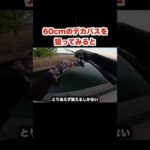 60cmのブラックバスを狙ってみた【バス釣り】