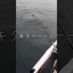 カヤック女子が…　#shorts #車中泊女子 #釣り女子 #釣りキャンプ #carcamping