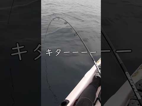 カヤック女子が…　#shorts #車中泊女子 #釣り女子 #釣りキャンプ #carcamping