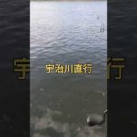 2023.10.6釣りを始めたい友達と初バス釣れました！宇治川ブラックバス釣り！ #fishing #lurefishing