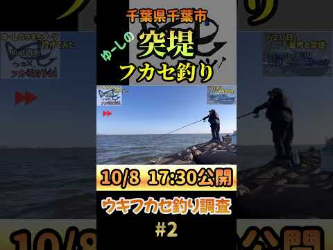 【フカセ釣り】東京湾奥フカセ釣り調査#2今回はどうなることやら　#shorts #釣り #フカセ釣り #磯釣り #グレ釣り #メジナ #千葉 #黒鯛 #千葉県