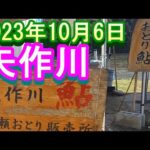 鮎釣り 平水引水 広瀬 笹戸橋下 矢作川 2023年
