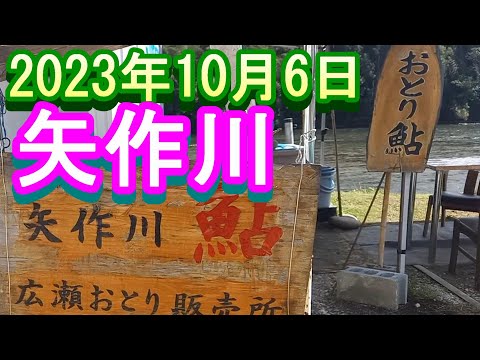 鮎釣り 平水引水 広瀬 笹戸橋下 矢作川 2023年