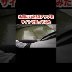 50cmのブラックバスをサイトで狙ってみた【バス釣り】