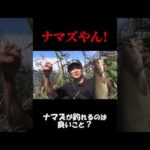 ナマズが釣れるのは悪いことではない！ #ルアマガ #バス釣り #ルアマガプライム