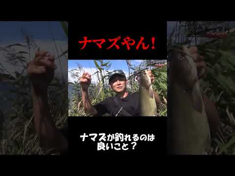 ナマズが釣れるのは悪いことではない！ #ルアマガ #バス釣り #ルアマガプライム