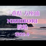 【チヌ筏・かかり釣り】水深30mの養殖小割でチヌ釣り！  三重県 方座浦 NISHIBORI渡船にて！！ #shorts