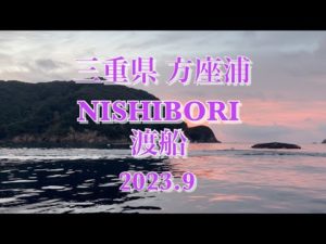 【チヌ筏・かかり釣り】水深30mの養殖小割でチヌ釣り！  三重県 方座浦 NISHIBORI渡船にて！！ #shorts