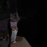 雨降る夜。アオリイカ、アジの泳がせ釣り。#short #short #アオリイカ #アオリイカ釣り #庄内釣り #釣り #泳がせ釣り