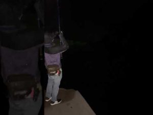 雨降る夜。アオリイカ、アジの泳がせ釣り。#short #short #アオリイカ #アオリイカ釣り #庄内釣り #釣り #泳がせ釣り