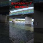 ロクマル実績ポイント！！大人気の淀川バス釣りエリアの鳥飼大橋の下です！#shorts #fishing#バス釣り #淀川 #bassfishing