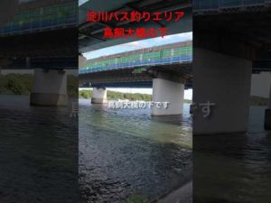 ロクマル実績ポイント！！大人気の淀川バス釣りエリアの鳥飼大橋の下です！#shorts #fishing#バス釣り #淀川 #bassfishing