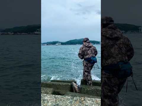 【清水港の釣り】ライトタックルルアー、PRYM1CAMO