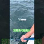 淡路島の船釣り　#shorts
