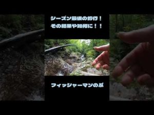 カッケー色したイワナ現る✨#アウトドア #東北 #釣り #大自然 #渓流釣り #troutfishing #トラウト #フィッシャーマンのぶ