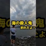 【海の殺人鬼】 #福岡釣り #釣り車中泊 #fishing #shorts