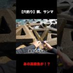 激荒れの穴釣り【餌、サンマ】#Shorts