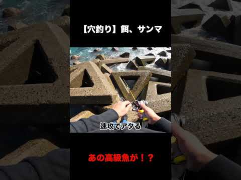 激荒れの穴釣り【餌、サンマ】#Shorts